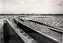 Opere pubbliche tra via Tommaseo e la Ferrovia, nella zona Fiera-Mercato Ortofrutticolo-Magazzini generali, a metà degli anni trenta (Fabio Fusar) 2